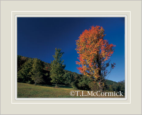 McCormick Gallery