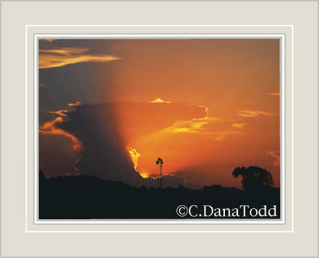 Dana Todd Gallery
