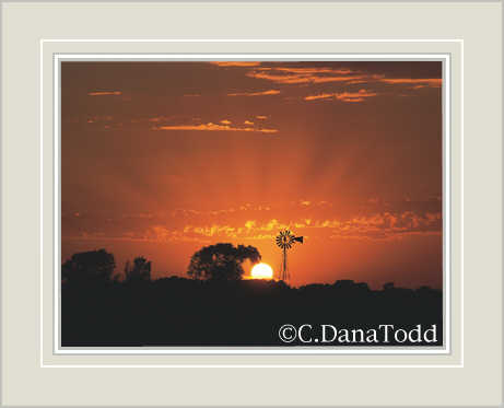 Dana Todd Gallery