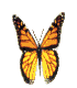 BUTTER3CLR.GIF (7461 bytes)