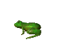 frogWHT.gif (10055 bytes)